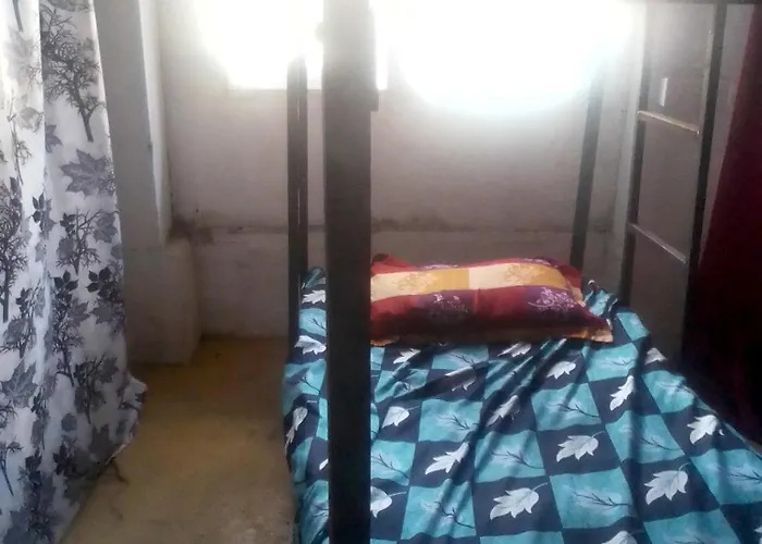 Himalayan Bed & Breakfast, Triund Hill Trekking And Snowline Trekking Hostel