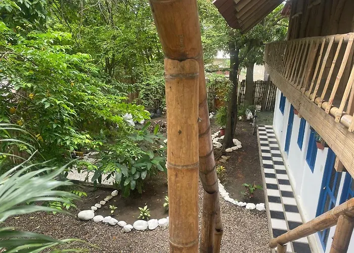 In Palomino