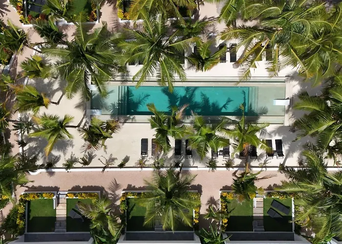 The Oasis Residence