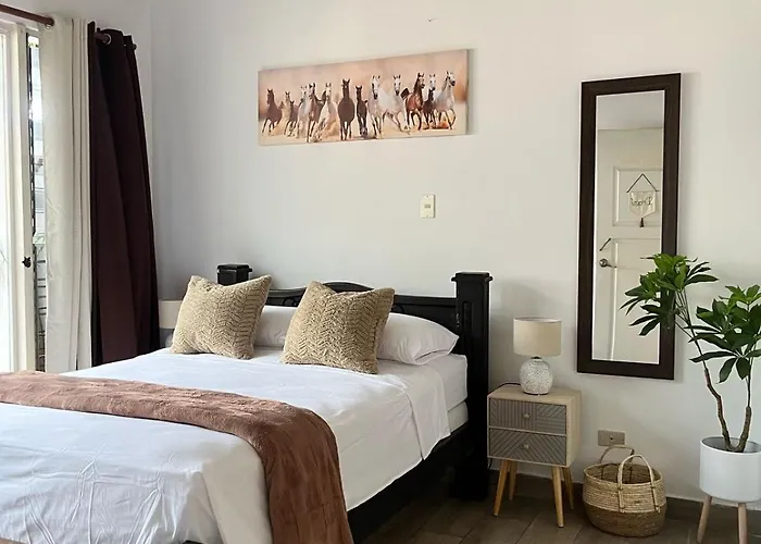 Gaudy'S Hostel