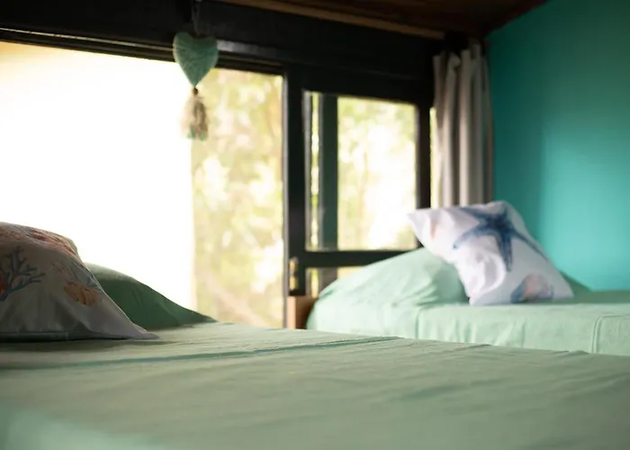 Hostel Casa Lion - Shared Room