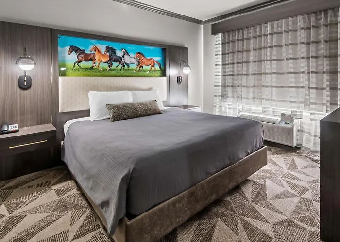 Big Country Hotel & Suites, Surestay Collection By BW