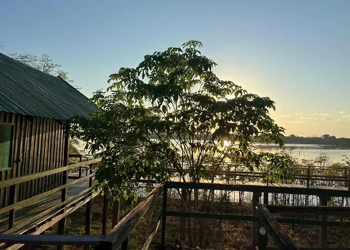 Amazônia Exxperience