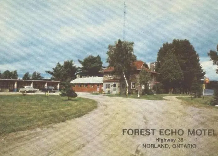 Noble Motel On Moore Lake
