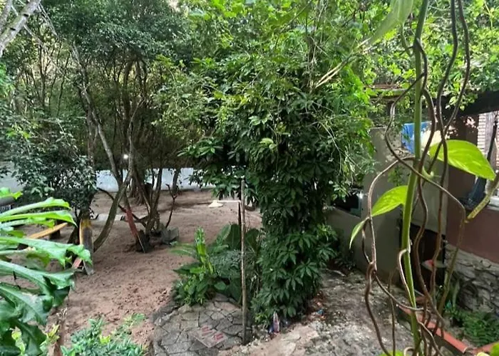 Quarto Golfinhos - Masculino