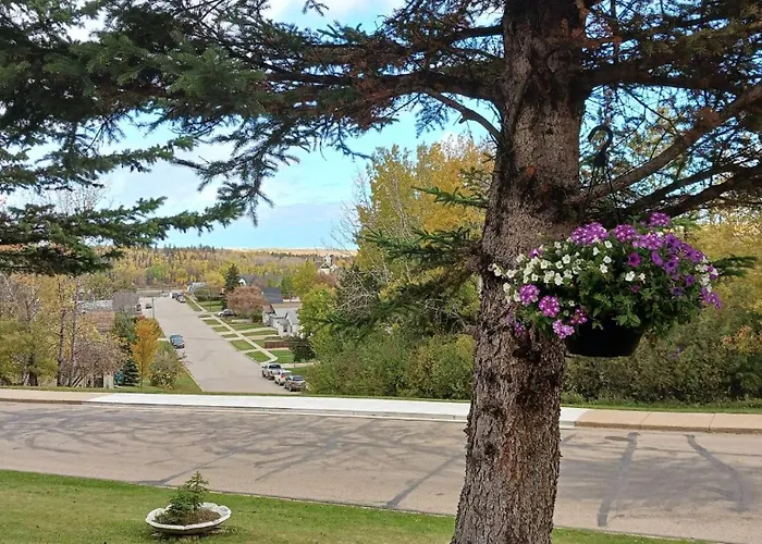 Athabasca Hillside Motel