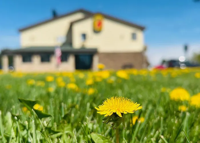 Super 8 By Wyndham Imlay City