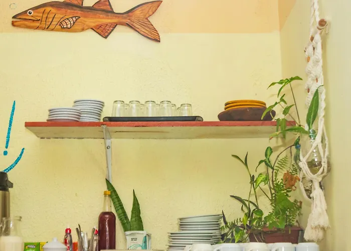 Dendê Jazz Hostel e Pousada