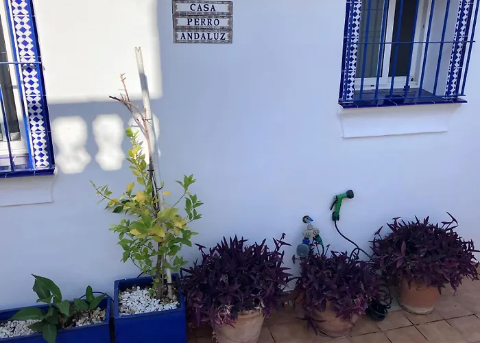 Casa Perro Andaluz