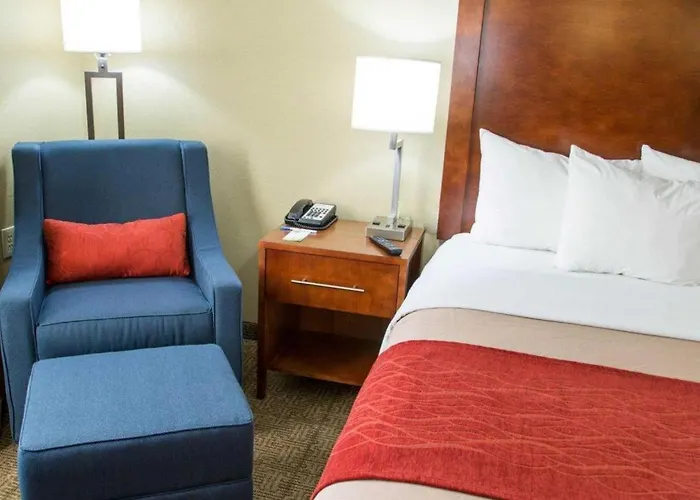 Comfort Inn DFW Airport North