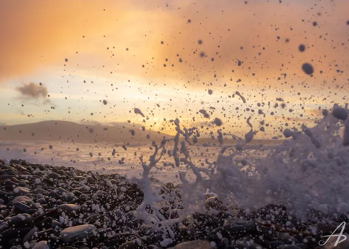 The Nest Strandhill