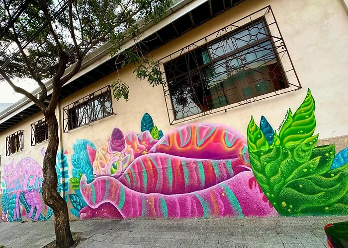 Stray Cat Hostel