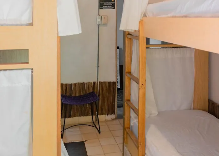 Hostel Musa Paradisiaca