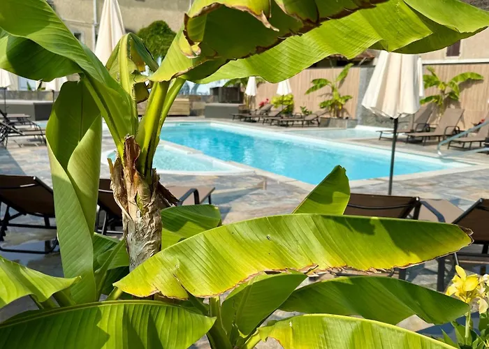 Logis Hotel Restaurant Bellevue