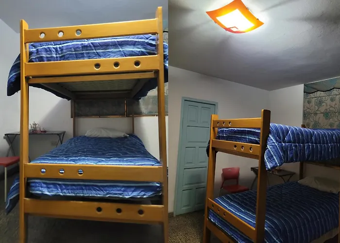 Backpackers & Backpackers