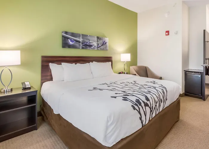 Sleep Inn At Discovery Park Of America