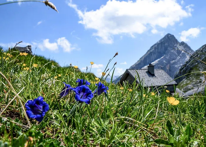 Haus BergGesundZeit Doppelzimmer Watzmannhaus