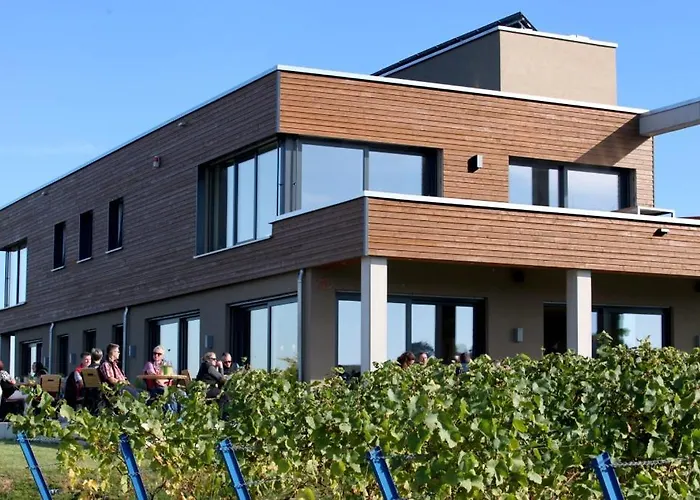 Vögelis WeinNest