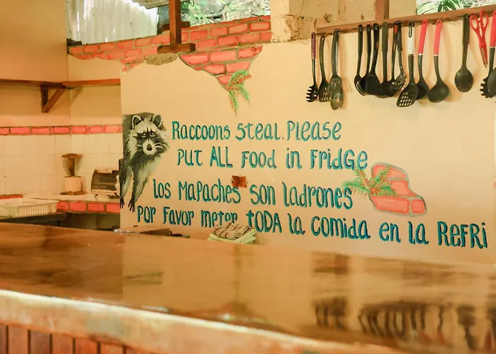 Hostel Plinio