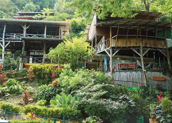 Hostel Plinio