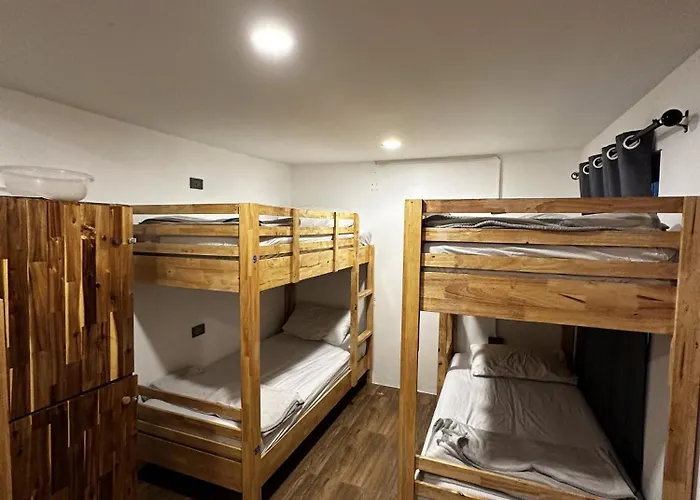 Monkey'S Hostel