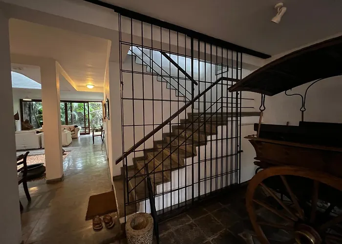 Mount Lodge Boutique Hotel