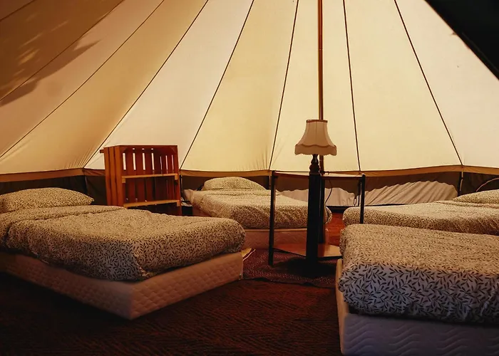 Tente Dortoir Partagee - Hegoa Surf Camp Pays Basque - Dorm - Compartida