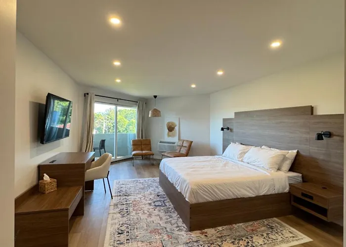 Hotel 19