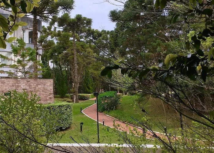 Charmoso Studio 2019 Bosque-Laje De Pedra