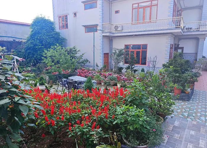 Sapa Hub Hostel