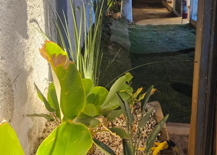 Pousada Viva Paraíso
