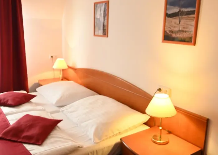 Wellness Hotel Anna Nejdek