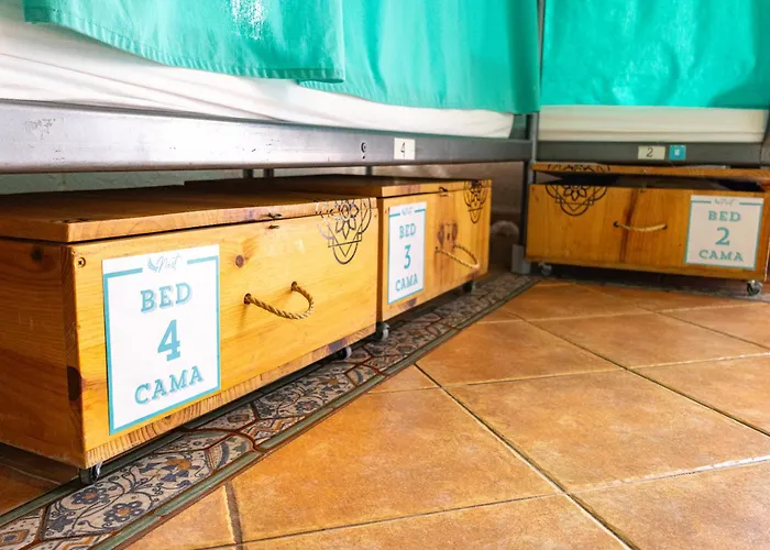 Arena Nest Hostel