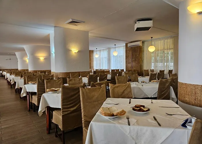 Hotel Mures