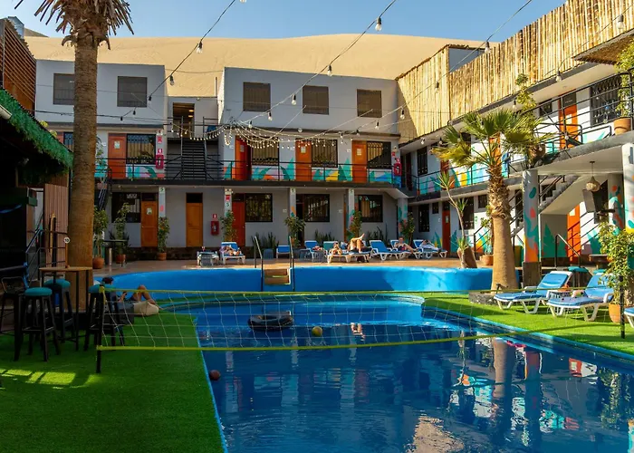 Wild Rover Huacachina