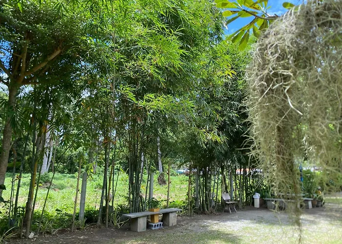 Baan Longhaad