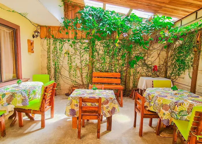 Cabinas Coco Alegre