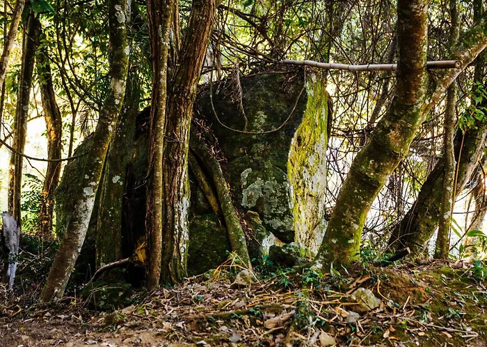 Pousada O Bosque