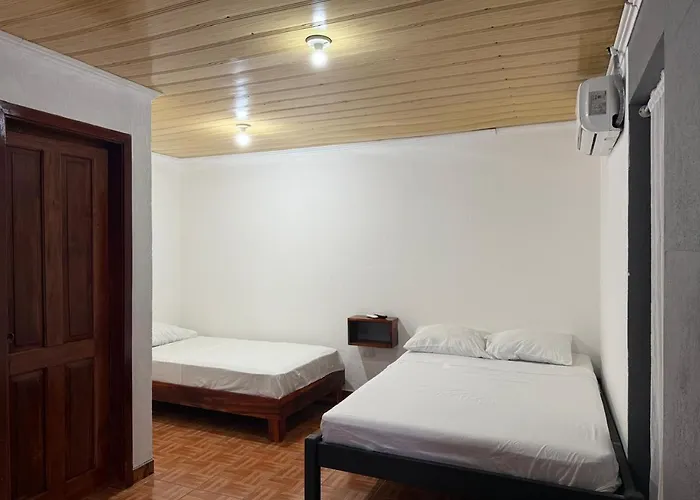 Bioluminiscencia Hostel Tours - South