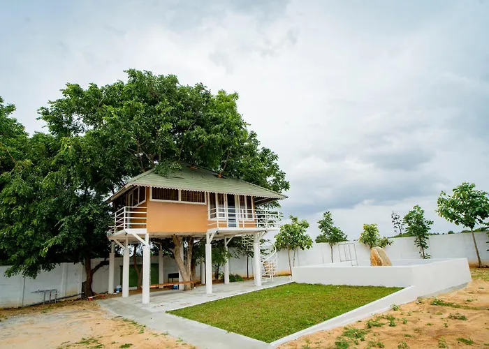 Habba Dates Village , Luxury 100 Acres Dates Farm Near Chikkaballapur