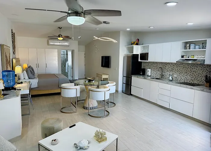 Unit 238 - Casa Amber-Ocean View-Fully Renovated