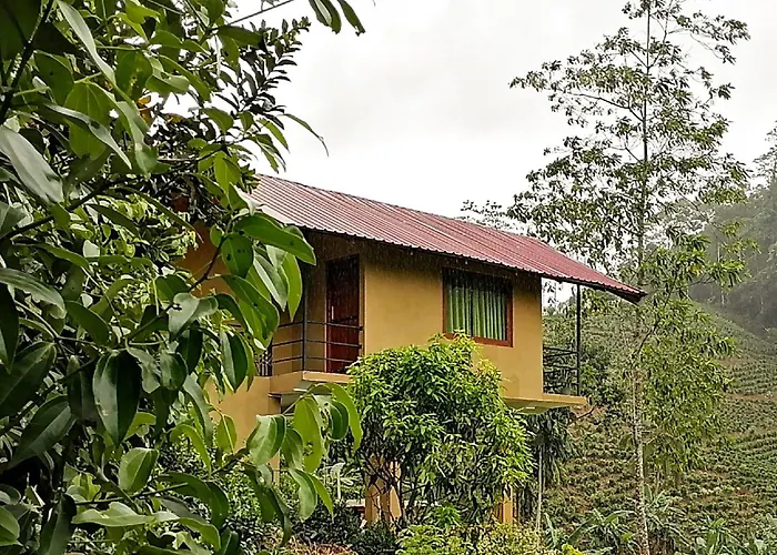Sunshine Forest Lodge - Sinharaja
