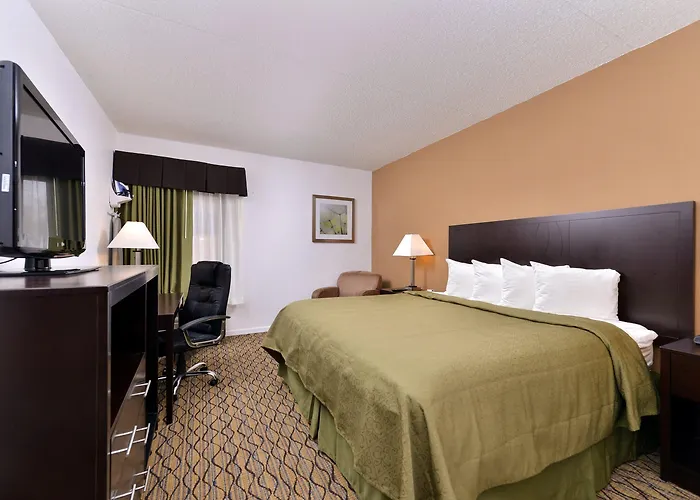 Quality Inn & Suites Matteson Near I-57