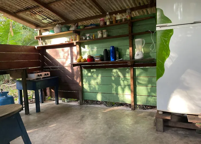 Caminho das pedras-Medicina, Consciência e espiritualidade- Hospedaria na floresta com saída ao Igarapé