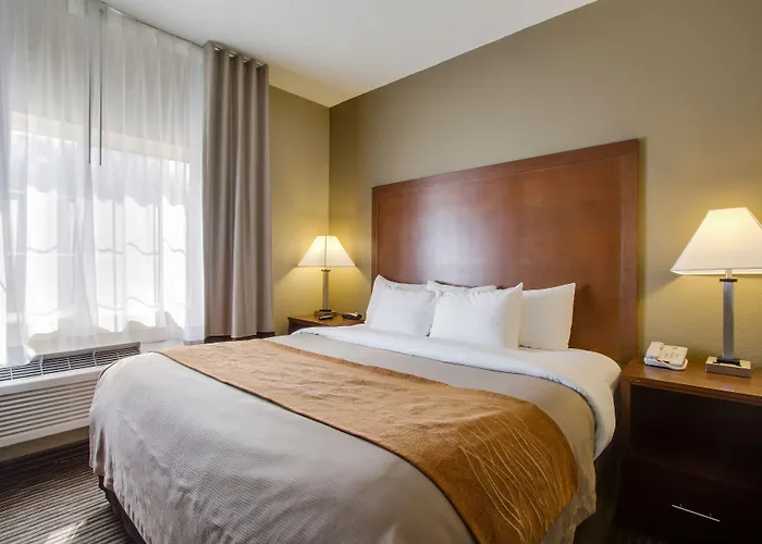 Comfort Inn & Suites Bellevue - Omaha Offutt Afb