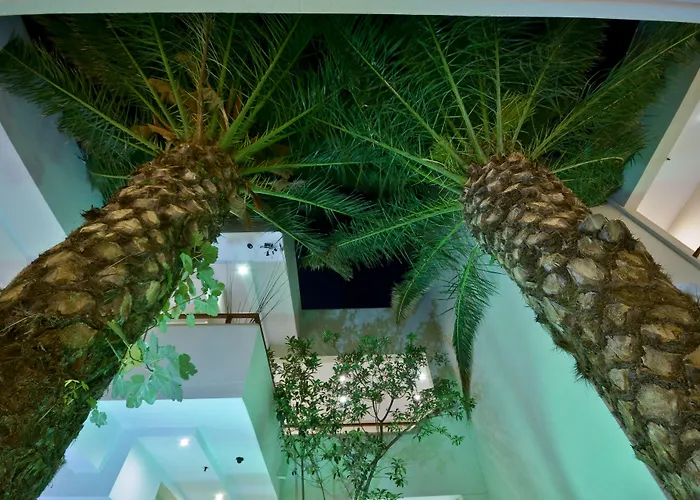 Anatoli Hotel