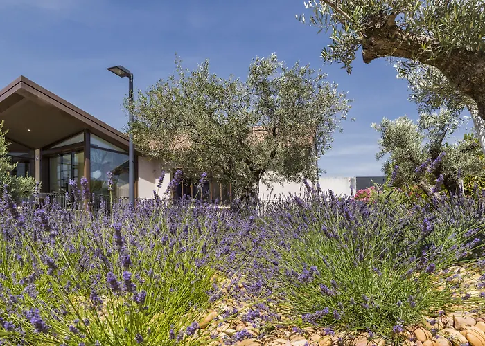 Terre De Provence Hotel & Spa