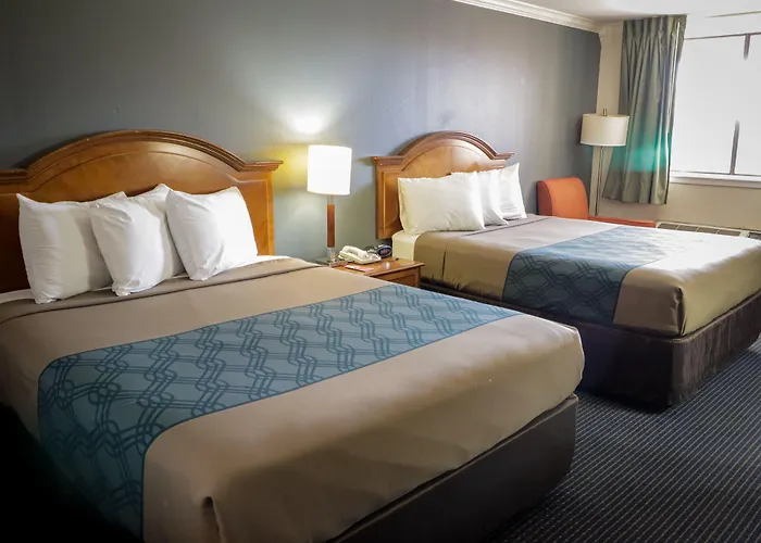 University Inn & Suites