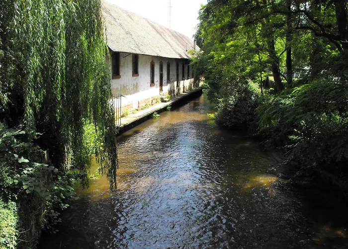 Hotel D'Alsace