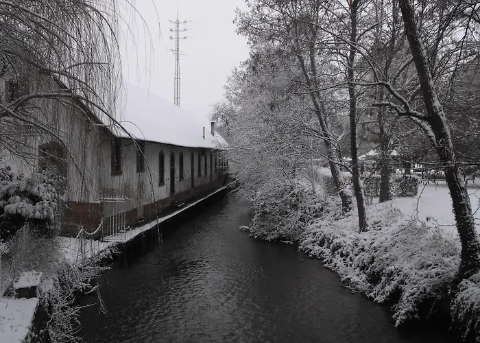 Hotel D'Alsace